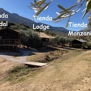 Campo de lujo Cortijo Dos Santos, Valle de Abdalajís